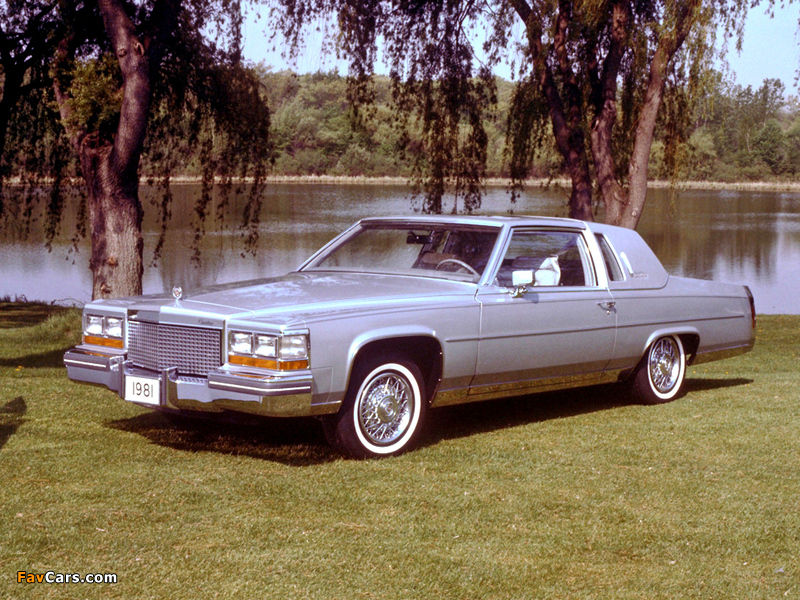 Images of Cadillac Fleetwood Brougham dElegance Coupe 1980–81 (800 x 600)