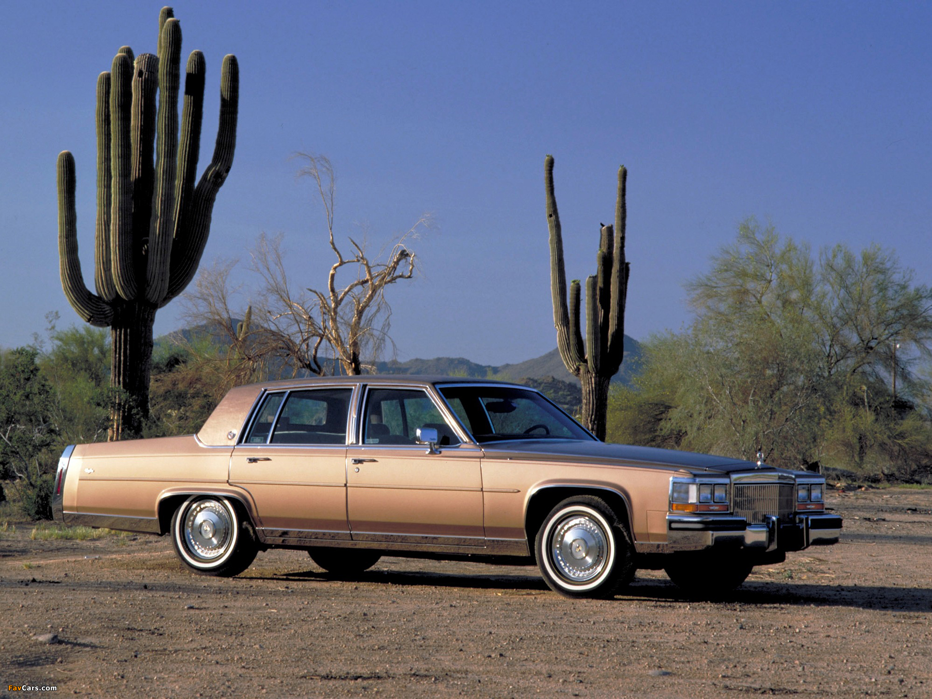Pictures of Cadillac Brougham 1987–89 (1920 x 1440)
