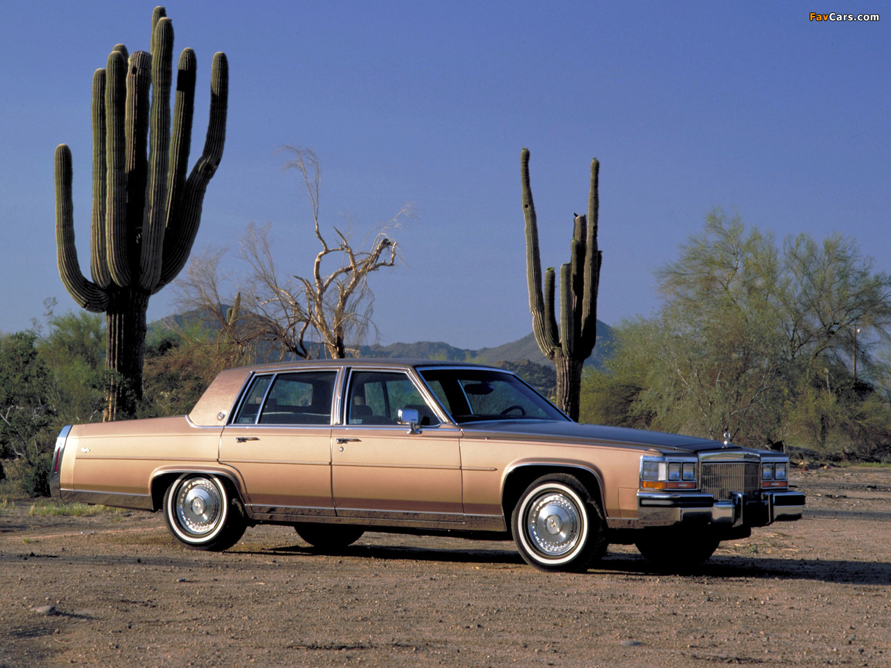 Pictures of Cadillac Brougham 1987–89 (1280 x 960)