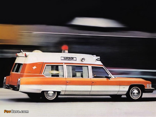 Cadillac Superior 54 Ambulance (F90/Z) 1974 pictures (640 x 480)