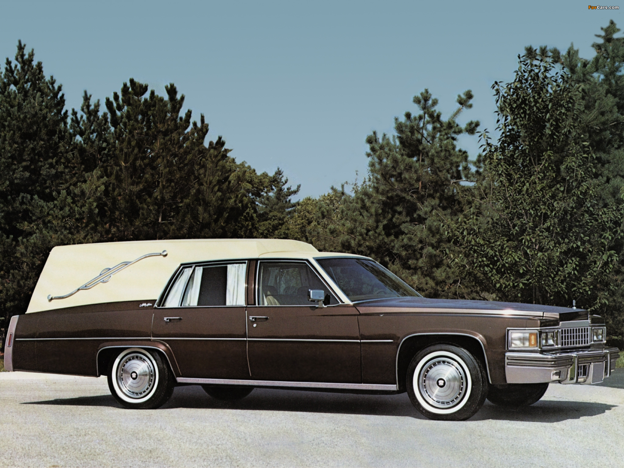 Pictures of Cadillac Miller-Meteor Athena Hearse (Z90) 1978 (2048 x 1536)