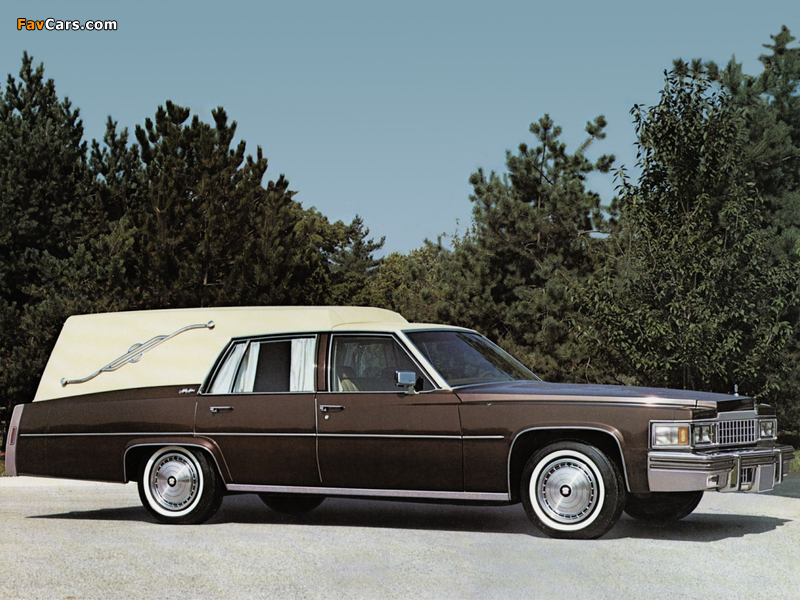 Pictures of Cadillac Miller-Meteor Athena Hearse (Z90) 1978 (800 x 600)