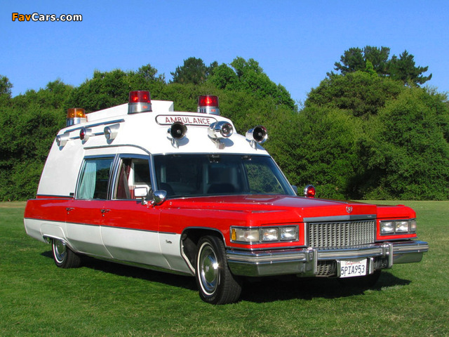 Cadillac Miller-Meteor Criterion Ambulance (6F-F90/Z) 1975 wallpapers (640 x 480)