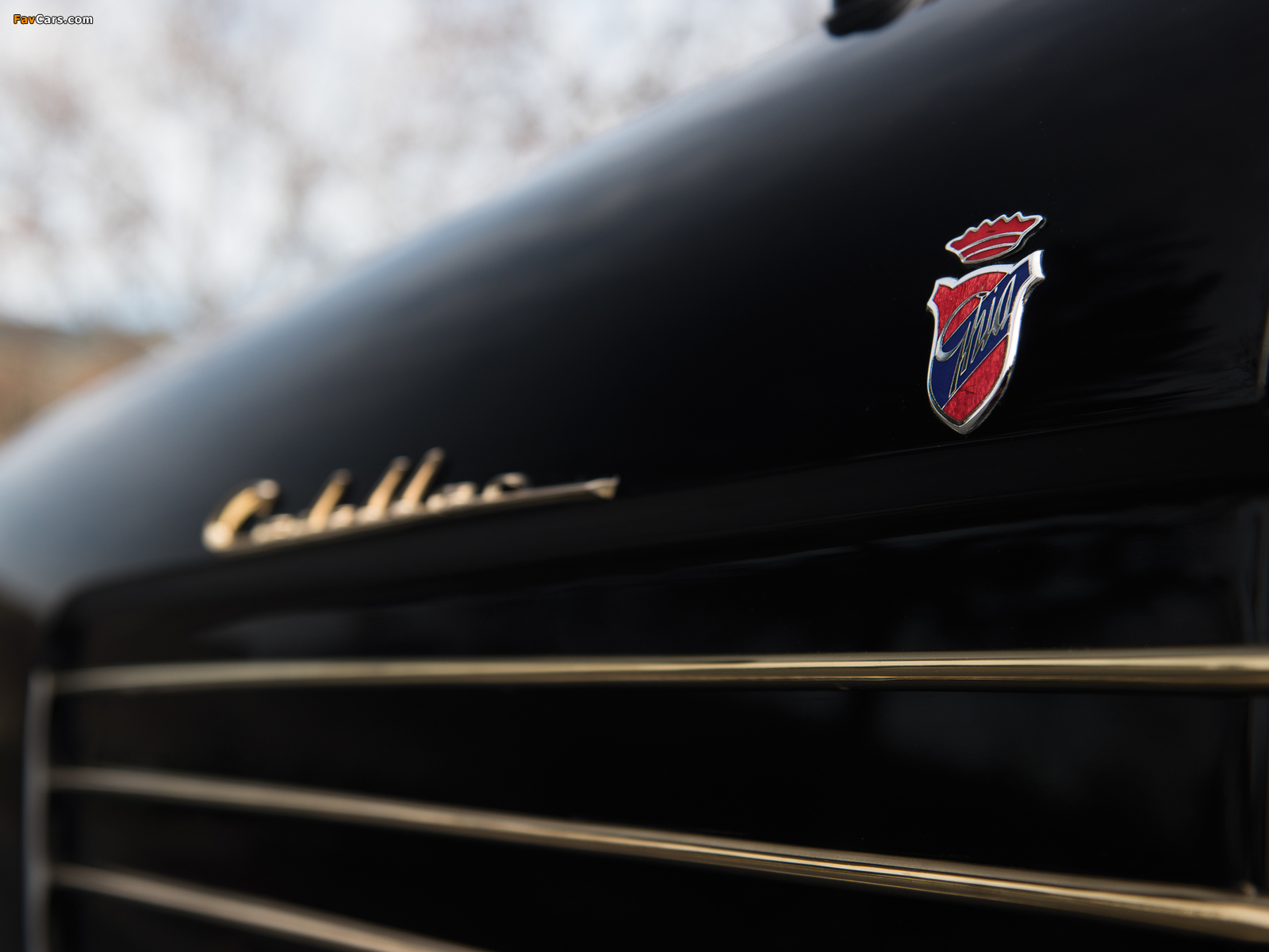 Cadillac Series 62 Coupe 1953 wallpapers (1600 x 1200)