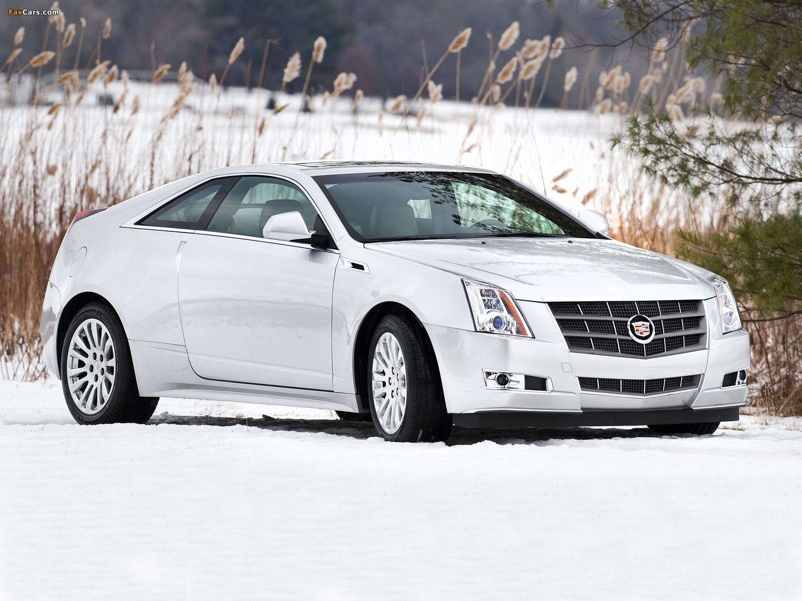 Cadillac CTS Coupe 2010 wallpapers (1600 x 1200)