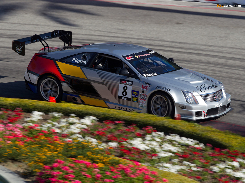 Cadillac CTS-V Coupe Race Car 2011 images (1024 x 768)