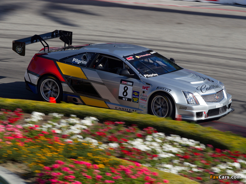 Cadillac CTS-V Coupe Race Car 2011 images (800 x 600)