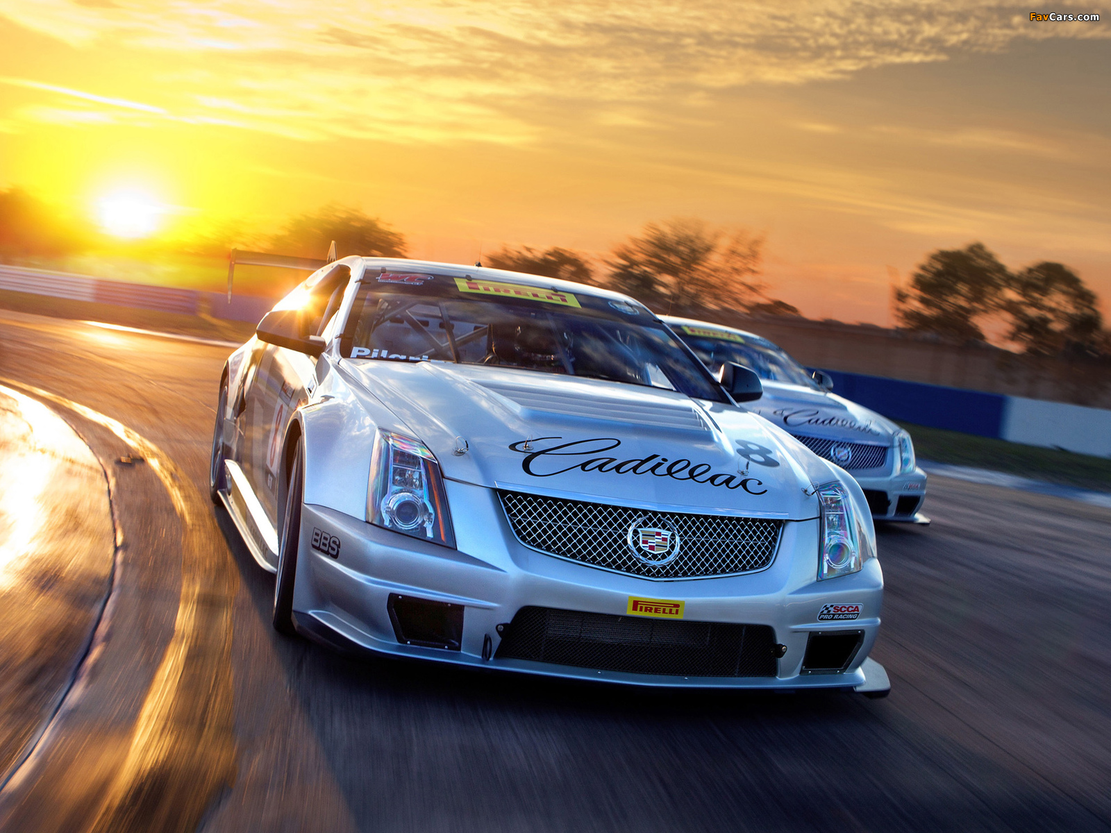 Cadillac CTS-V Coupe Race Car 2011 images (1600 x 1200)