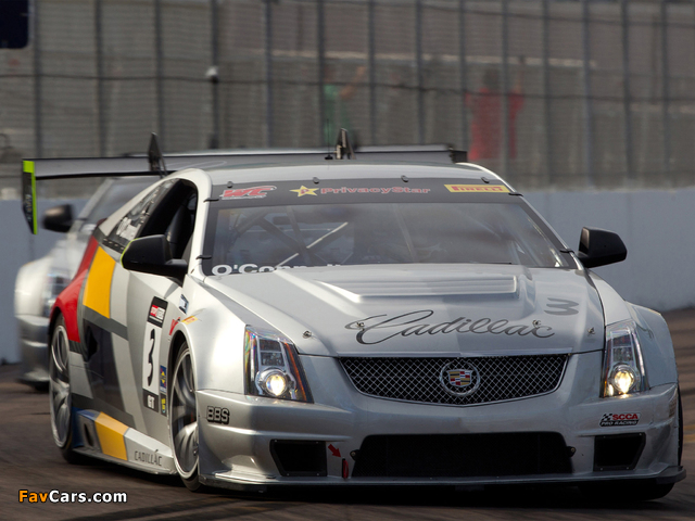 Cadillac CTS-V Coupe Race Car 2011 wallpapers (640 x 480)