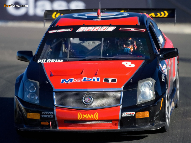 Images of Cadillac CTS-V Race Car 2005–07 (800 x 600)