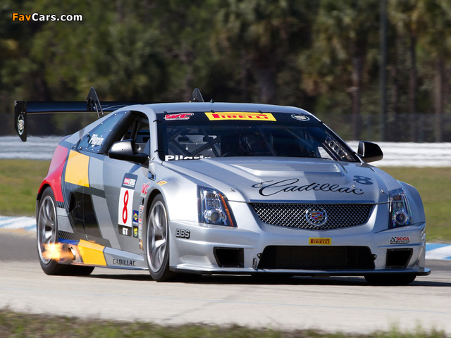 Images of Cadillac CTS-V Coupe Race Car 2011 (640 x 480)
