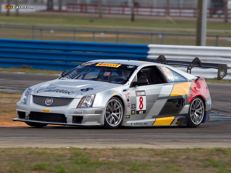 Cadillac CTS-V Coupe Race Car 2011 wallpapers (800 x 600)