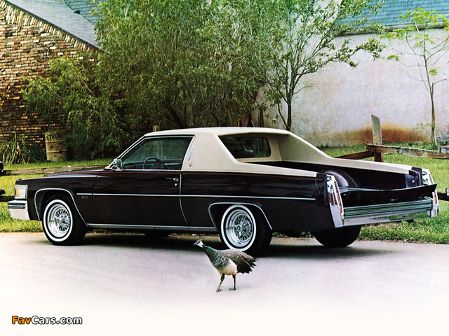Cadillac Paris de Ville Pickup by American Custom Coachworks 1979 pictures (640 x 480)