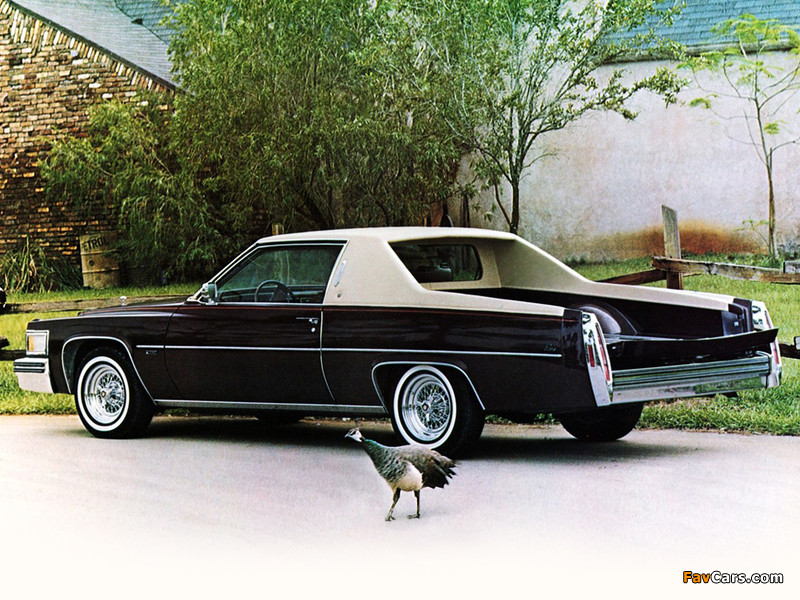Cadillac Paris de Ville Pickup by American Custom Coachworks 1979 pictures (800 x 600)