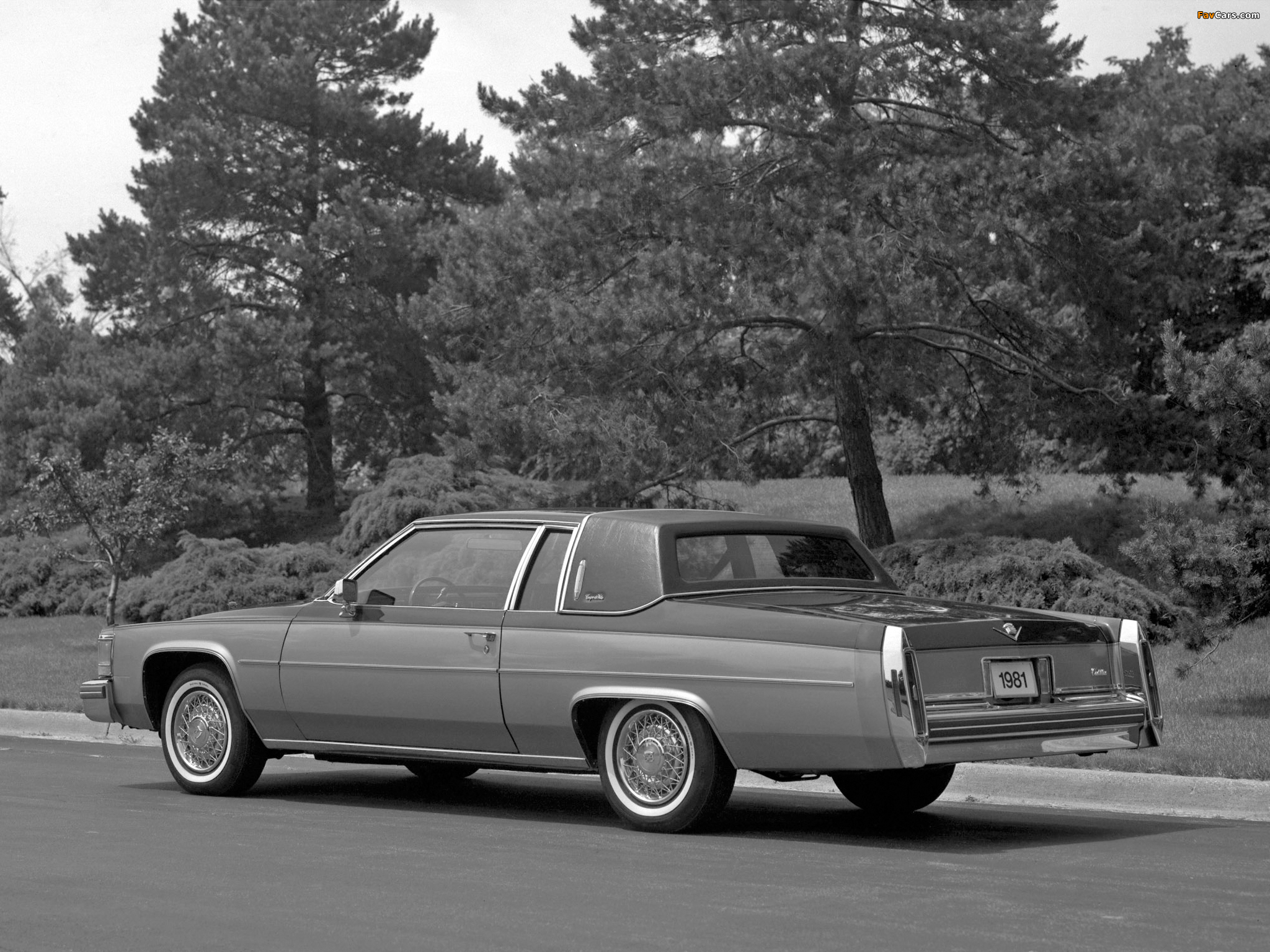 Cadillac Coupe de Ville 1980–84 photos (2048 x 1536)