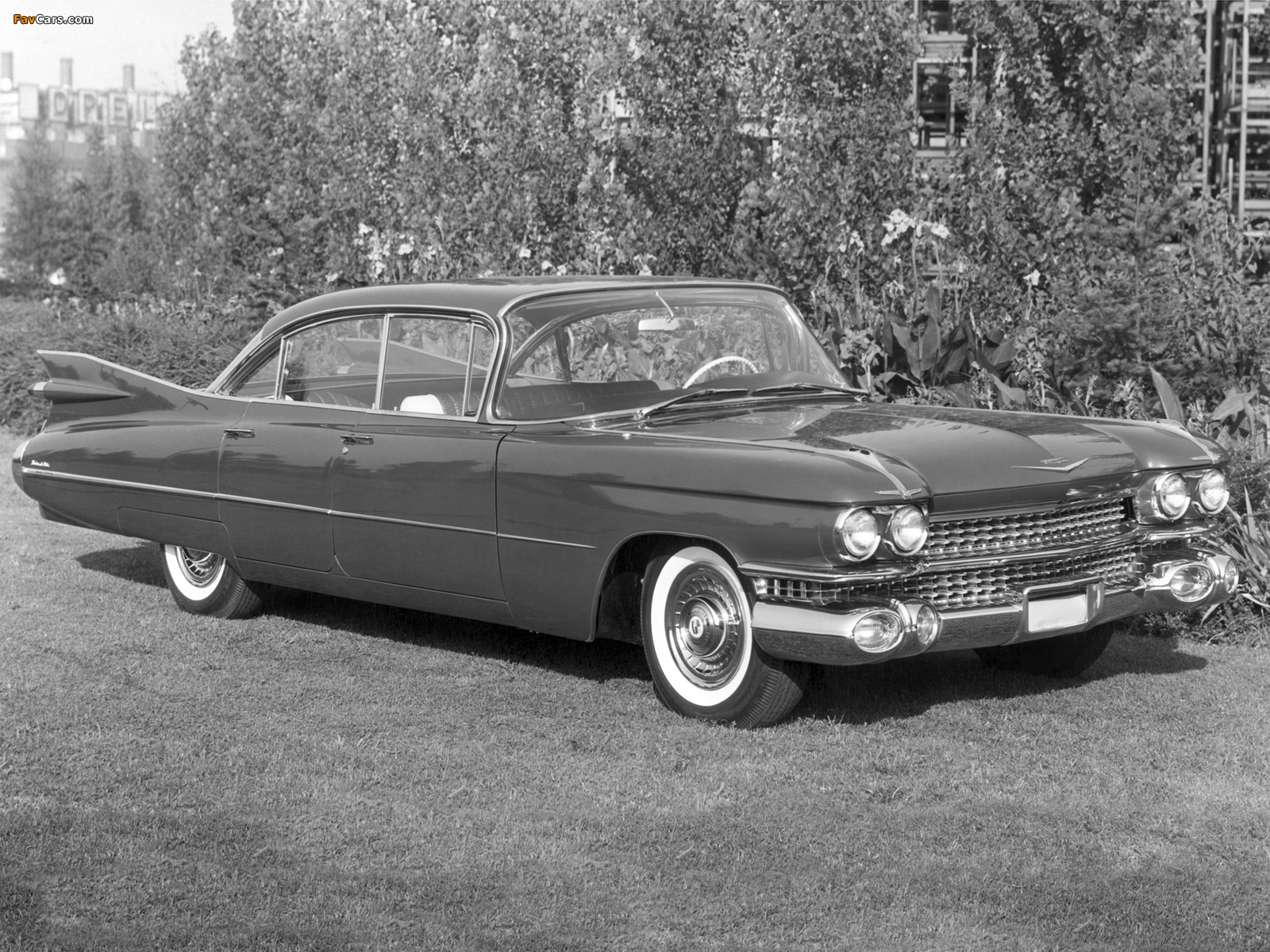 Images of Cadillac DeVille 6-window Sedan (6329L) 1959 (1600 x 1200)