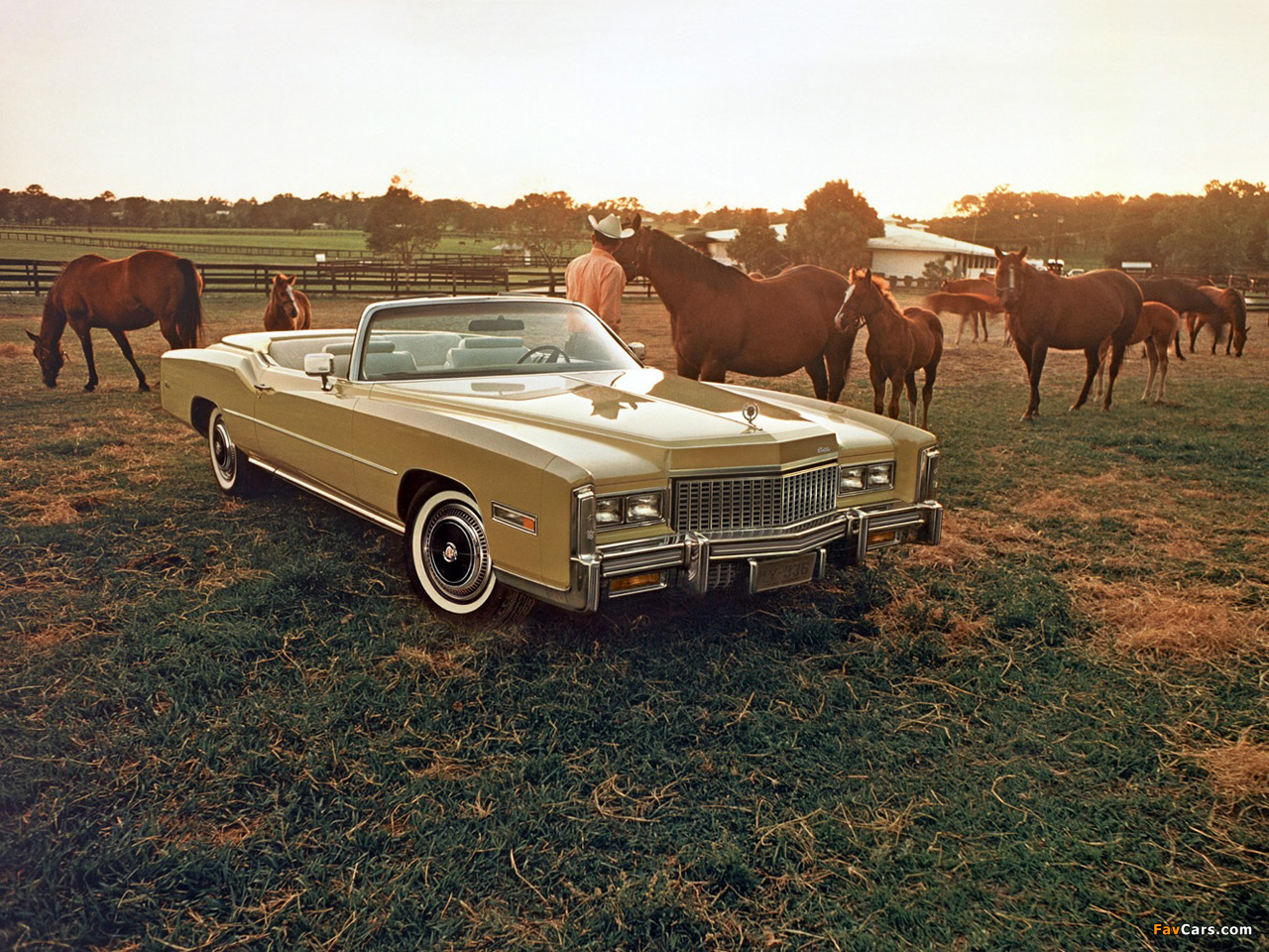 Cadillac Eldorado Convertible 1976 images (1280 x 960)
