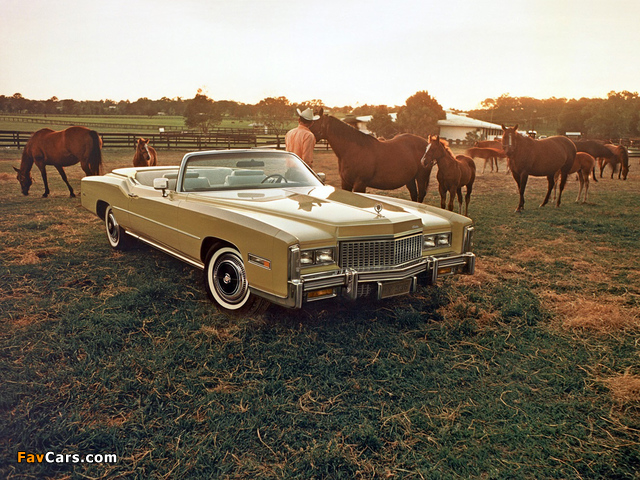 Cadillac Eldorado Convertible 1976 images (640 x 480)