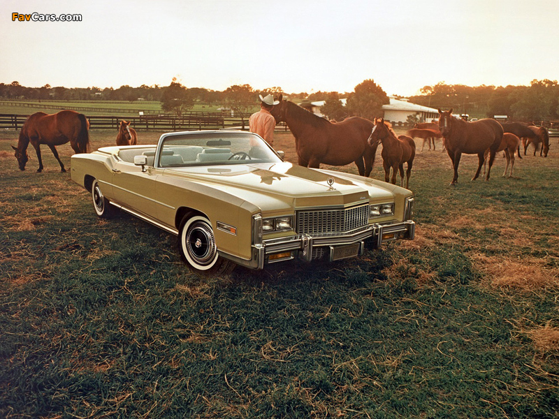 Cadillac Eldorado Convertible 1976 images (800 x 600)