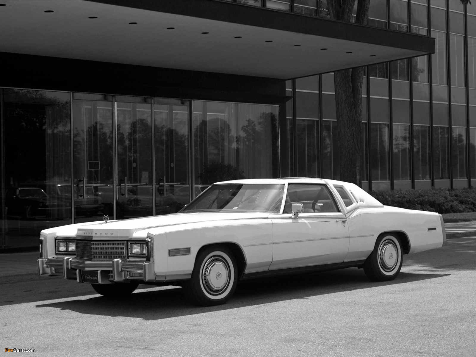 Images of Cadillac Eldorado Coupe 1978 (1600 x 1200)