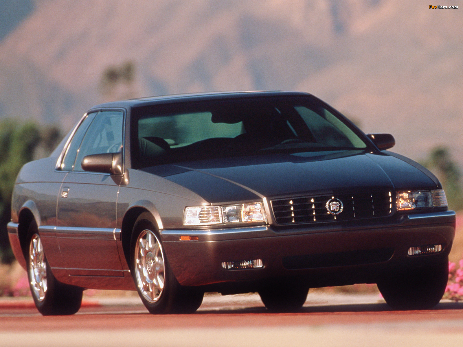 Images of Cadillac Eldorado Touring Coupe 1995–2002 (1600 x 1200)
