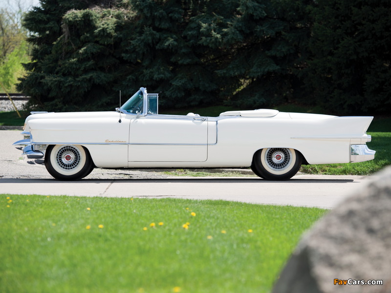 Pictures of Cadillac Eldorado 1955 (800 x 600)
