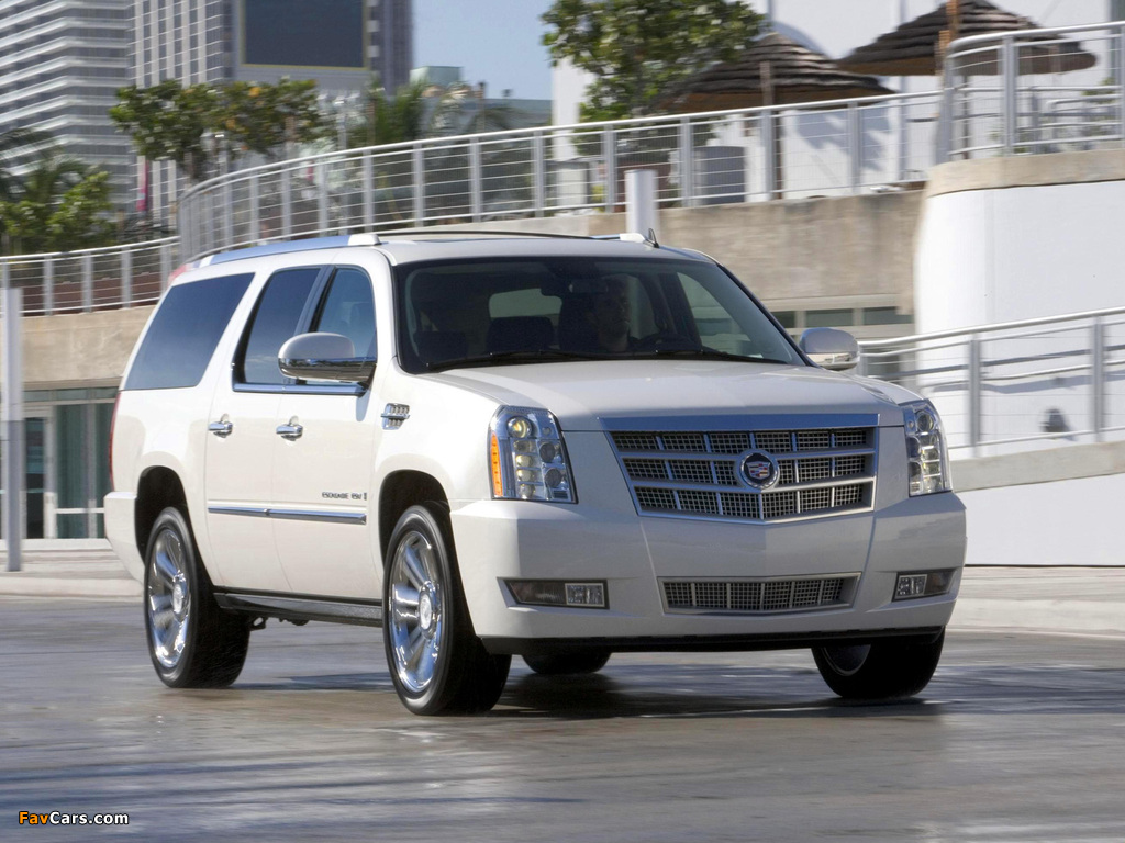 Cadillac Escalade ESV Platinum Edition 2008 pictures (1024 x 768)