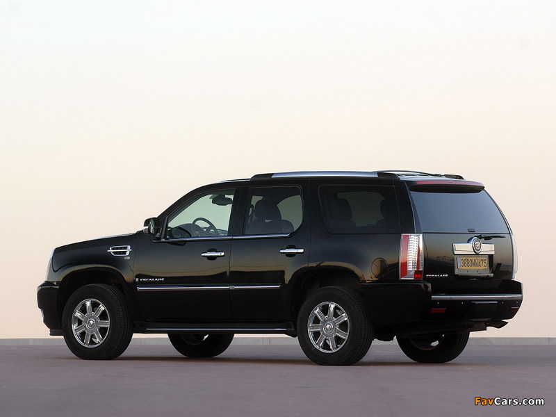 Images of Cadillac Escalade EU-spec 2006 (800 x 600)