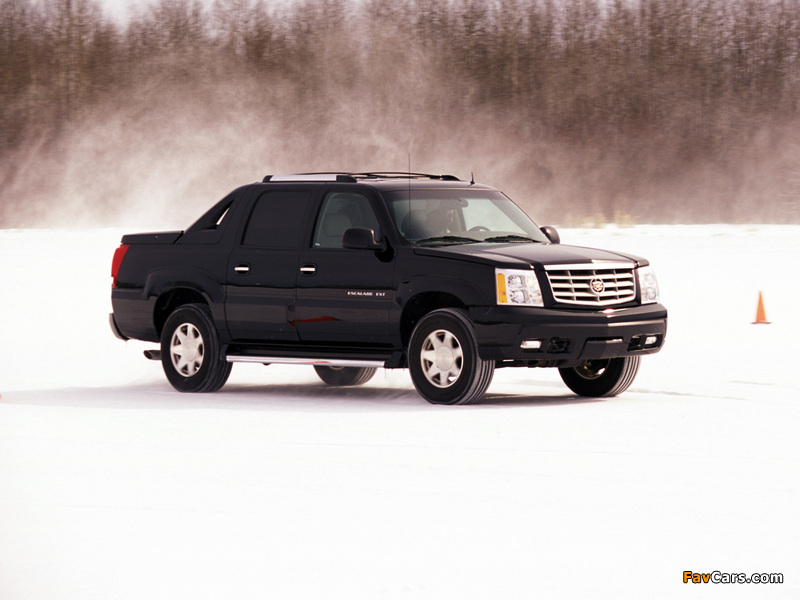 Pictures of Cadillac Escalade EXT 2002–06 (800 x 600)