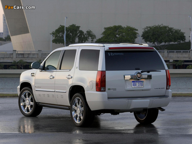 Pictures of Cadillac Escalade Hybrid 2009 (640 x 480)