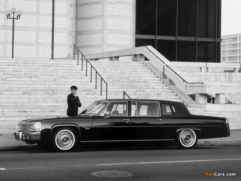 Cadillac Fleetwood Limousine 1981 photos (800 x 600)