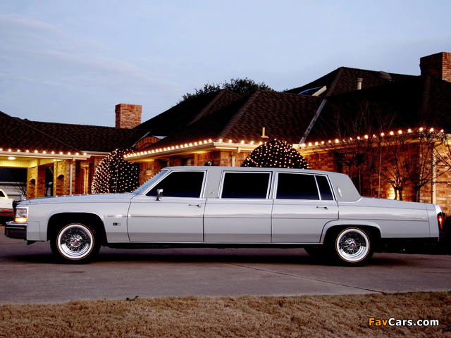 Images of Cadillac Fleetwood Executive Limousine by Moloney 1980 (640 x 480)