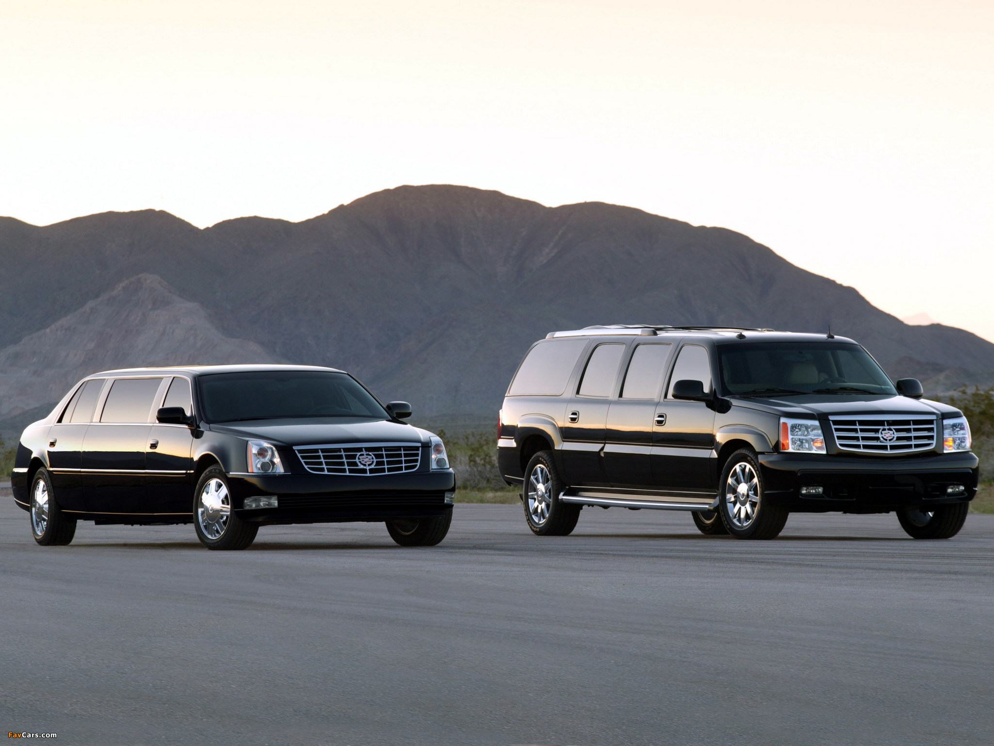 Pictures of Cadillac DTS Limousine & Escalade ESVe Limousine 2006 (2048 x 1536)