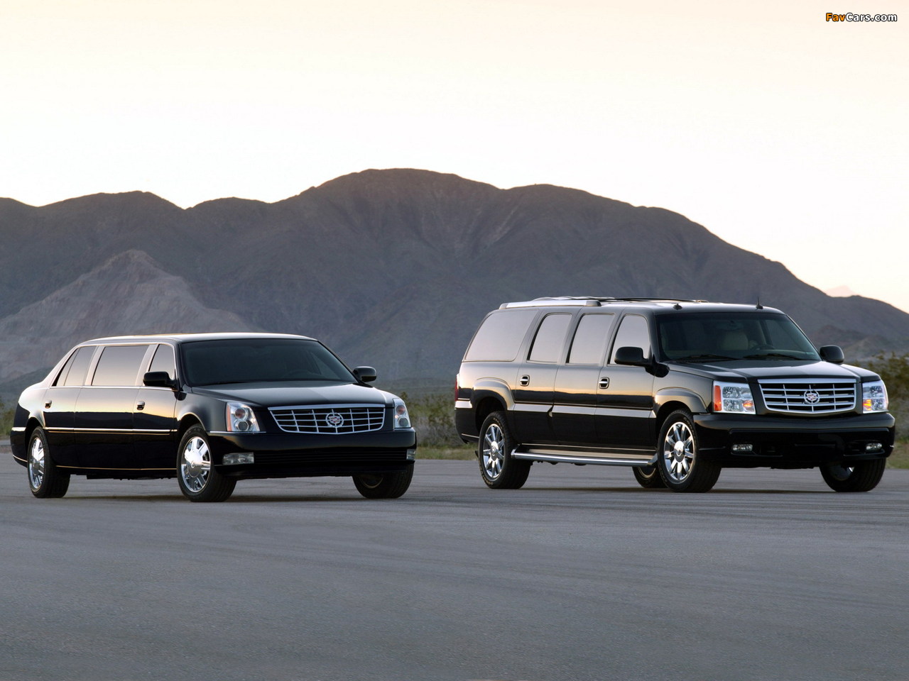 Pictures of Cadillac DTS Limousine & Escalade ESVe Limousine 2006 (1280 x 960)