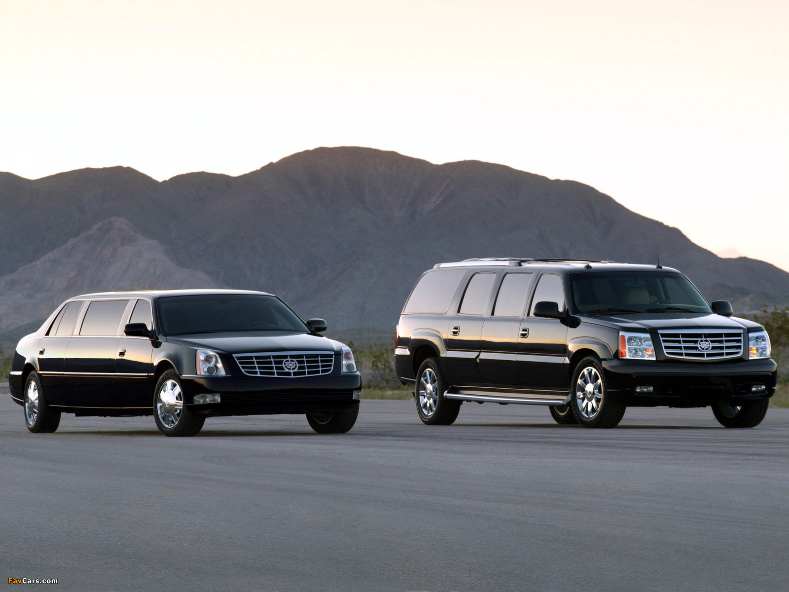 Pictures of Cadillac DTS Limousine & Escalade ESVe Limousine 2006 (1600 x 1200)