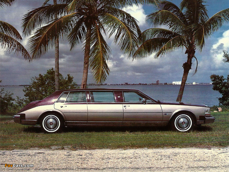 Images of Cadillac Seville Limousine by Moloney 1984 (800 x 600)