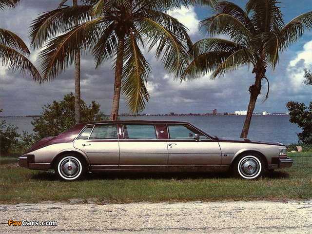 Images of Cadillac Seville Limousine by Moloney 1984 (640 x 480)