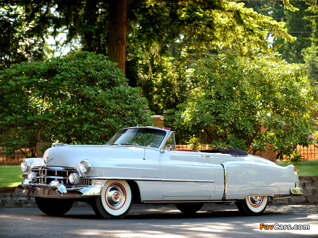 Cadillac Sixty-Two Convertible Coupe 1951 pictures (640 x 480)