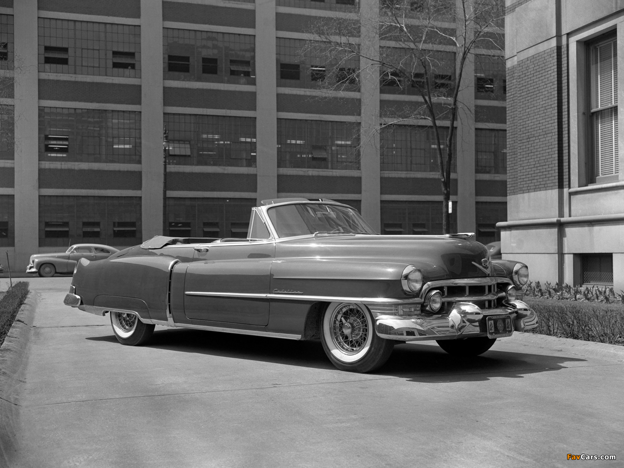 Cadillac Sixty-Two Convertible Coupe 1952 pictures (1280 x 960)