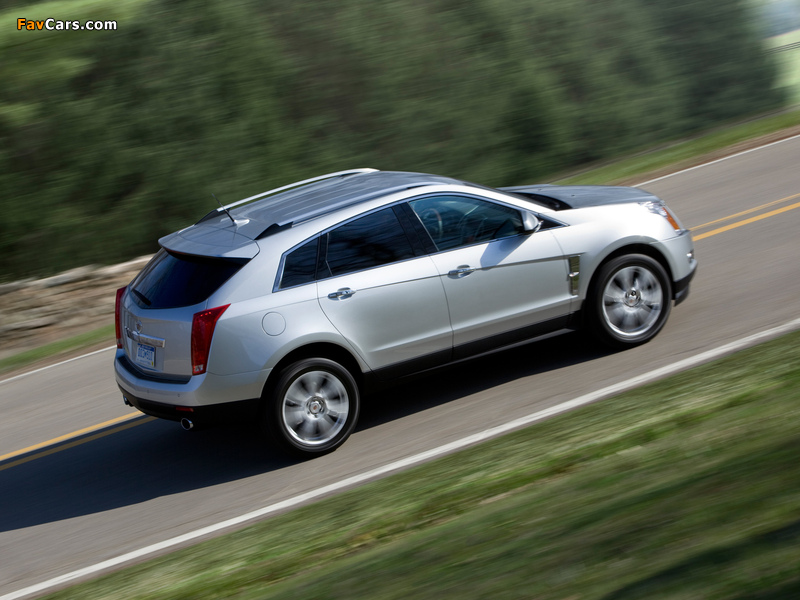 Cadillac SRX 2009–12 wallpapers (800 x 600)