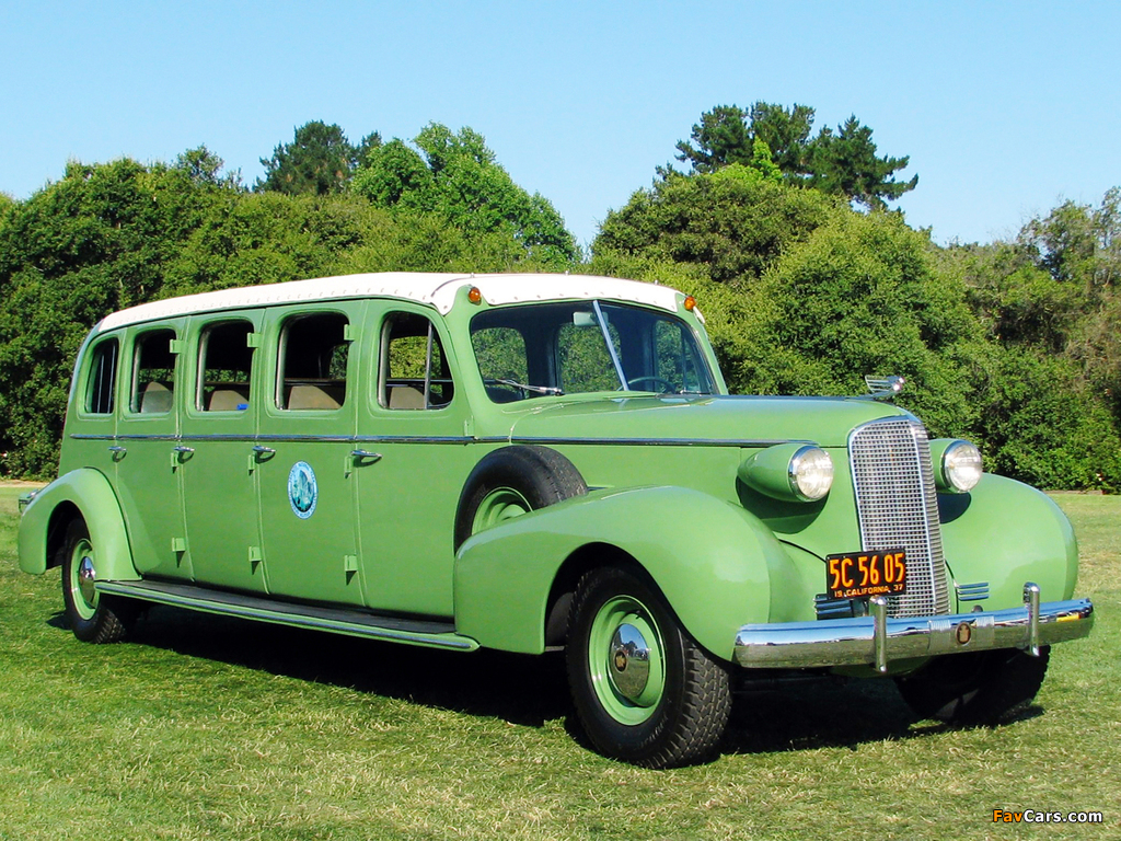 Cadillac V8 Series 37-75 Sightseeing Bus by A.J. Miller 1937 wallpapers (1024 x 768)