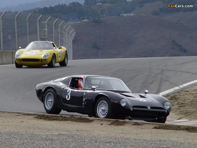 Pictures of Cheetah Race Car (800 x 600)
