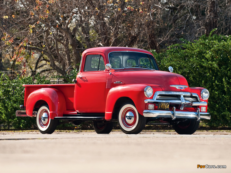 Pictures of Chevrolet 3100 Pickup 1954 (800 x 600)