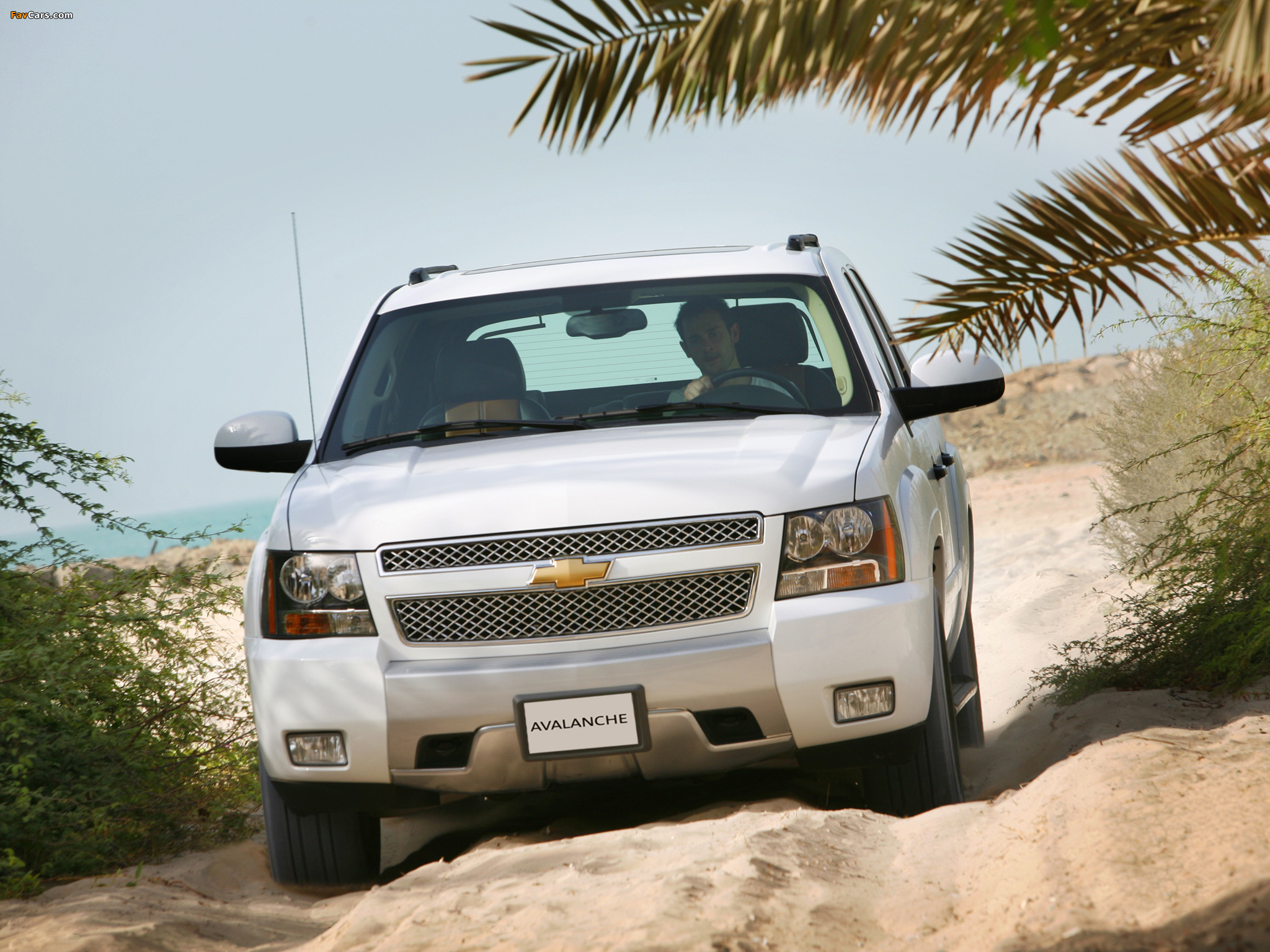 Images of Chevrolet Avalanche Z71 2007–12 (2048 x 1536)