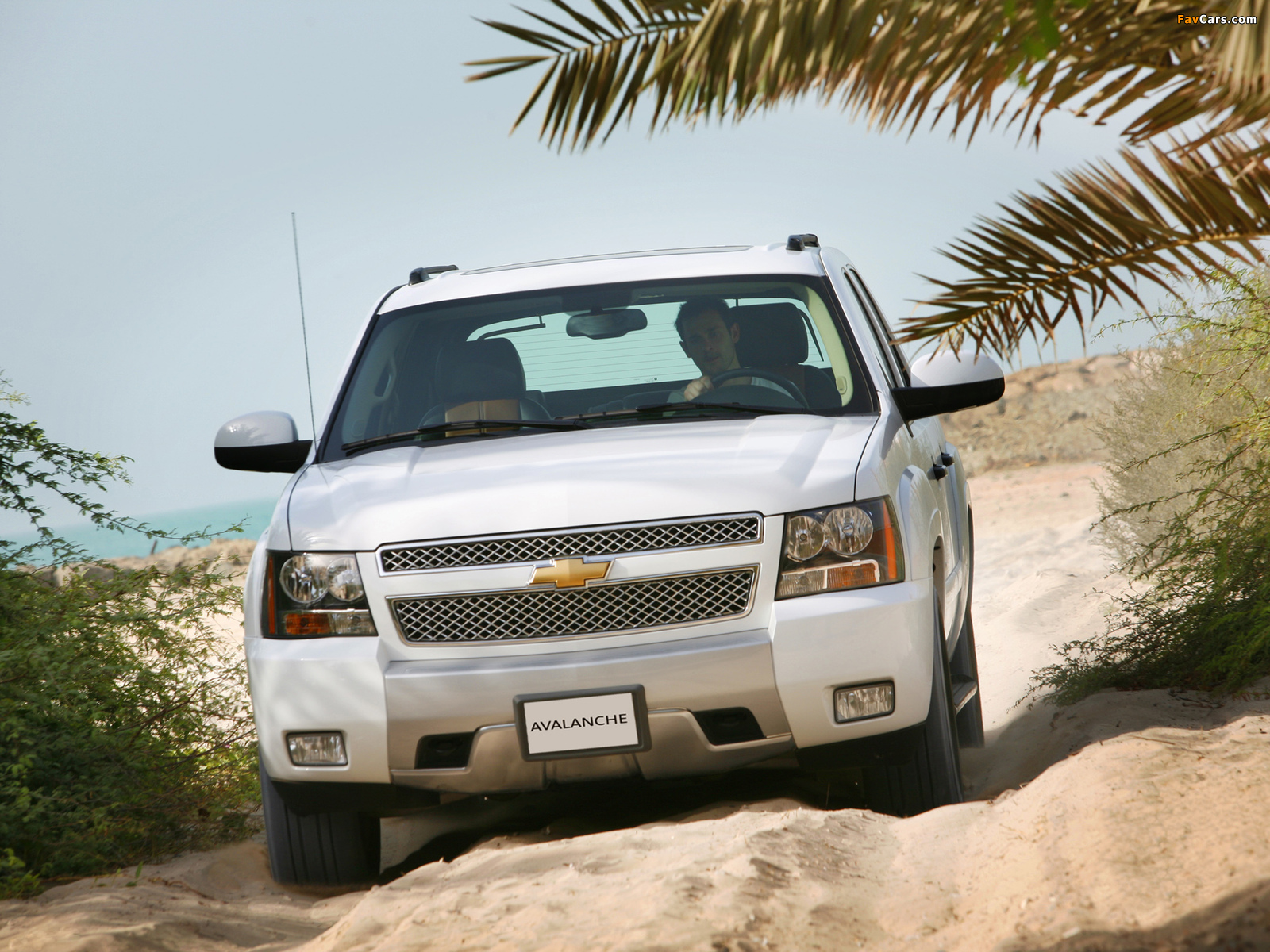 Images of Chevrolet Avalanche Z71 2007–12 (1600 x 1200)