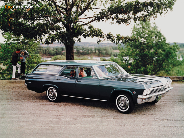 Chevrolet Biscayne Station Wagon 1965 images (640 x 480)