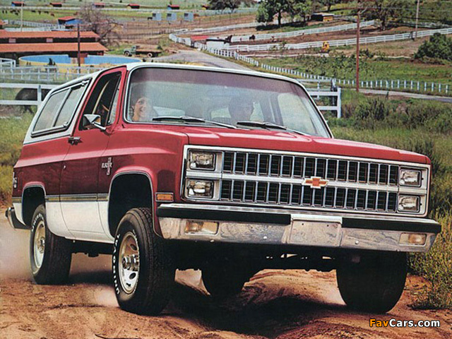 Chevrolet Blazer 1981–82 photos (640 x 480)