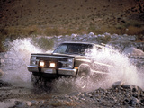 Photos of 1983–84 Chevrolet K5 Blazer 1982–84