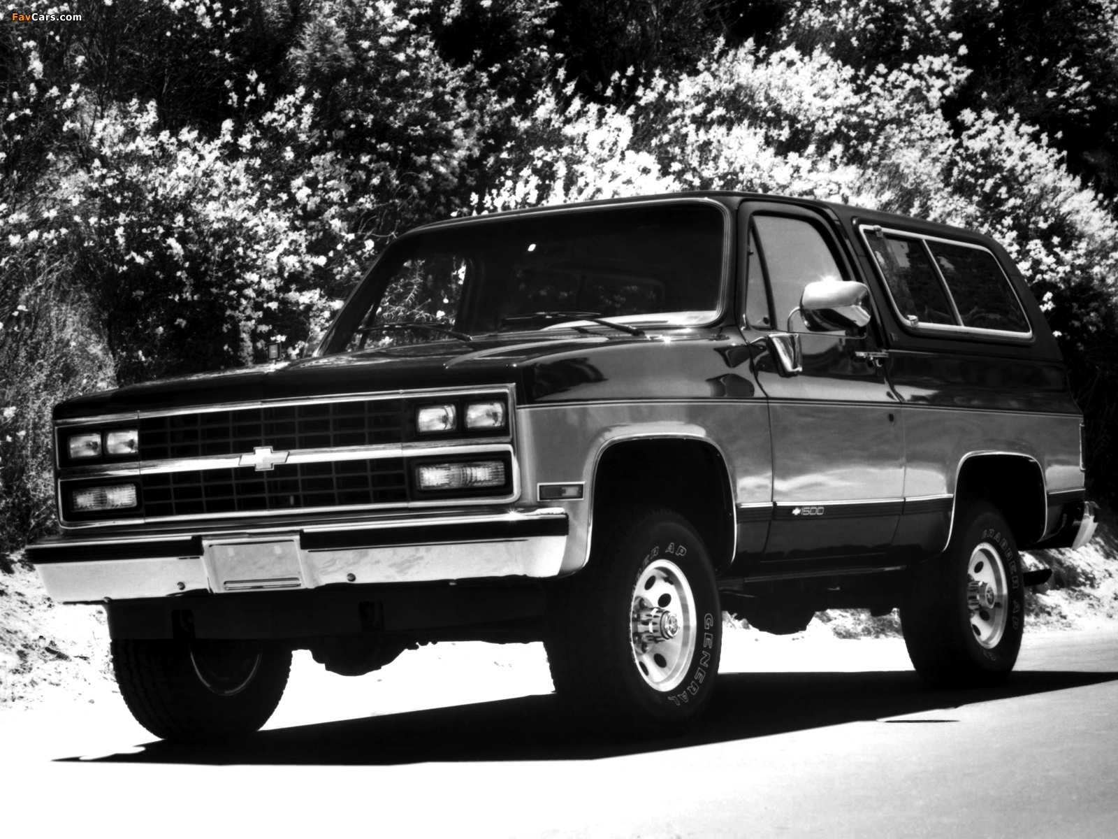 Pictures of 1989–91 Chevrolet K5 Blazer 1988–91 (1600 x 1200)