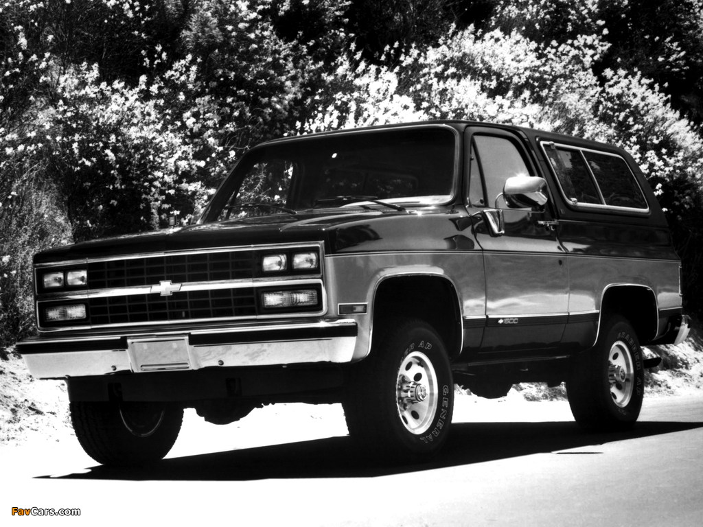 Pictures of 1989–91 Chevrolet K5 Blazer 1988–91 (1024 x 768)